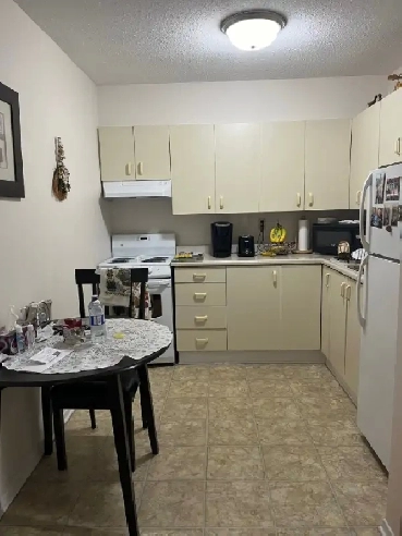 Beautiful second floor one bedroom for RENT Image# 1