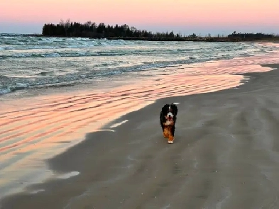 Sauble Beach House For Rent