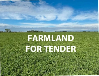 FARMLAND FOR SALE BY TENDER Image# 1