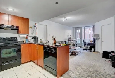 Brand new semi-furnished 3 1/2 condo in Downtown