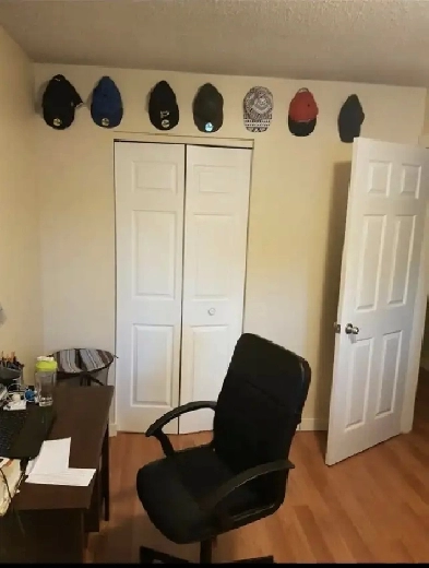 Room for rent /roommate Image# 1