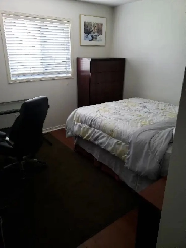 Room for Rent in Scarborough near UTSC Image# 1