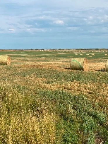 140 ACRES NORTH OF CALGARY ON 14 STREET Image# 1