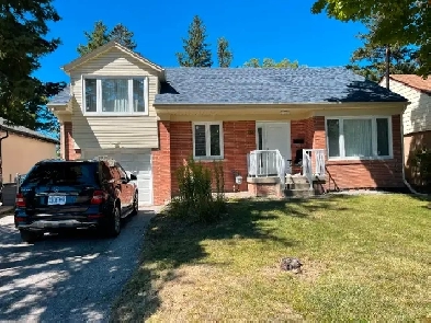 New Renovated 1 Bedroom Basement For Rent (Sheppard/Midland)