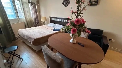 Furnished bachelor studio, Dundas/College Station,TMU, immediate Image# 1