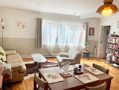 WINTER SUBLET (Dec-Jan-Feb) - LARGE PLATEAU 4 1/2 Image# 1