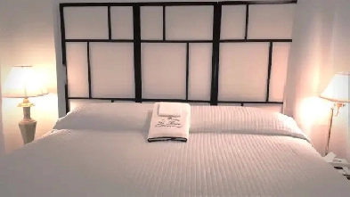 SPACIOUS UPSCALE ROOM FOR A PROFESSIONAL WORK MALE $350/550/$950