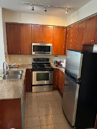 Pvt Room with Shared Bath Sq 1 Condo $1100 Image# 1