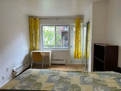 Downtown Near McGill All Included Furnitured Studio for Rent !!