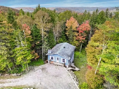 Duplex à vendre Ste-Anne-des-Lacs/ Logement libre à l'acheteur! Image# 1