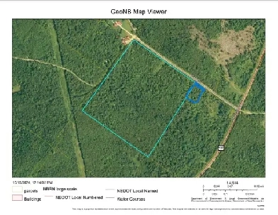 35 Acre Wooded Lot in Harvey NB image