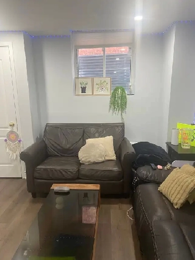 Furnished legal basement rent Brampton Civic Hospital- Nov 1 Image# 1