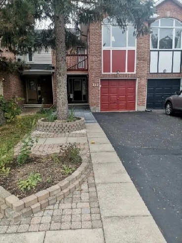 Rooms for rent near Algonquin College / 416 & 417 Image# 2