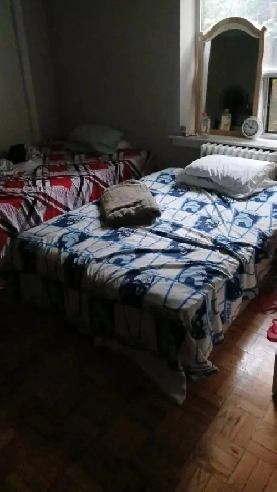 Shared room rent downtown for women 550$ Image# 1