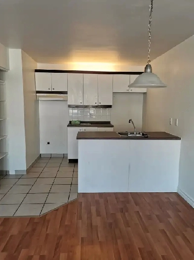 3 ½ à louer - Charlesbourg / Lebourgneuf Image# 1