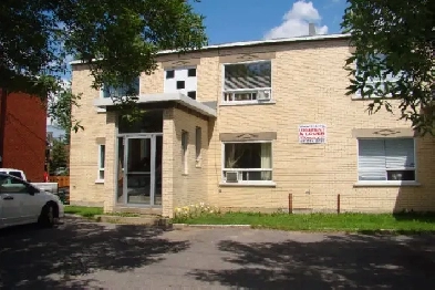 Beau très grand 1½ rue Bergemont près du Cégep Limoilou Image# 1