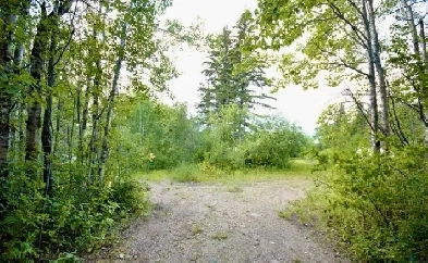 Private lake lot.(motivated to sell) Image# 1