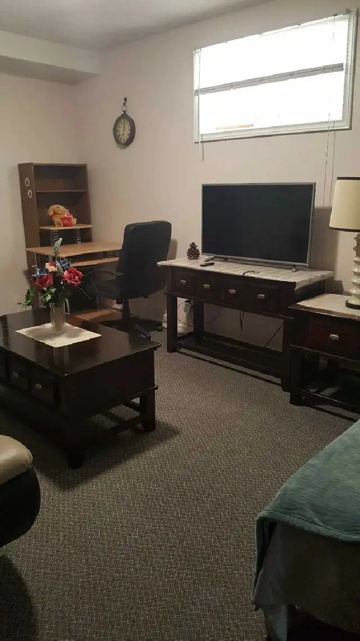 Furnished Bachelor/Studio Basement Apt in City of Toronto,ON - Apartments & Condos for Rent