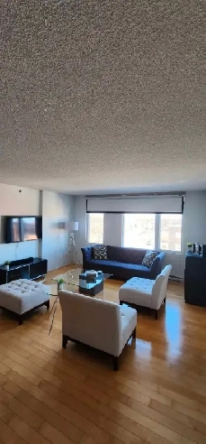 Location 3 1/2 tout inclus Image# 1