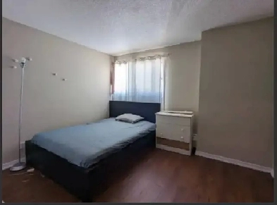 Female apartment for rent Image# 1