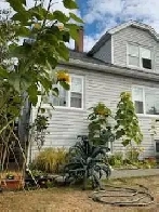 Downtown Old City  2 Bedroom, 1 Bathroom available