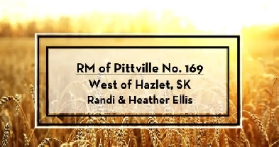 Land Tender - RM of Pittville No. 169 - West of Hazlet, SK Image# 1