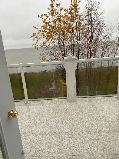 Beautiful fully furnished lake front bachelor suite