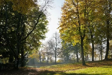 Private Furnished Room for Rent for Female Student/Working Image# 1