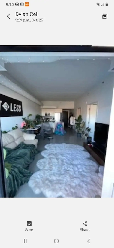 1 bedroom apartment for rent