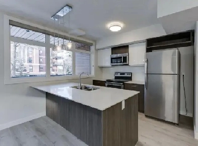 Downtown Stunning 2 Bed 2 Bath Condo w/ UG PARKING! Love it! Image# 1