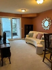 Fully Furnished All Utilities One Bedroom Condo Image# 1