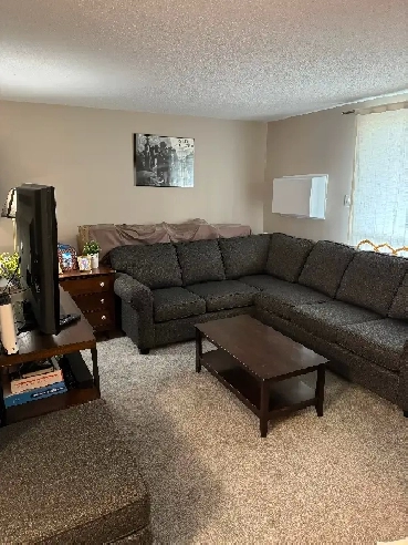 1 Bedroom Apartment (Spacious living room) for sublet available Image# 1