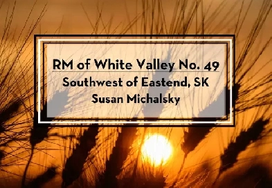 Land Tender - RM of White Valley #49 - SW of Eastend, SK Image# 1