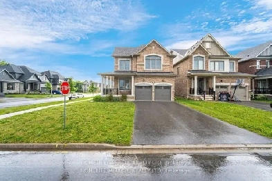 Gorgeous 4 Bedroom Corner Detached Home In Collingwood Image# 1