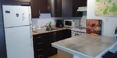 Agréable logement 3 1/2 à louer, Bromont! 5 minutes du sommet ! Image# 1