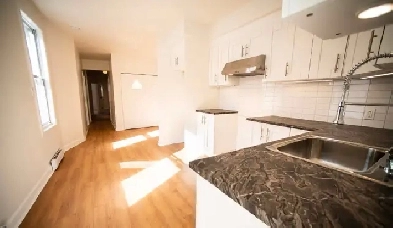 2 bedroom plus Den in st Henri Image# 1