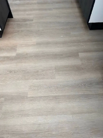 Appartements à louer Image# 1