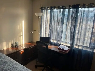 Sublease 3 1/2 apartment. Fully furnished! Image# 1