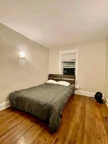 Cozy room for rent near Wolseley Image# 2