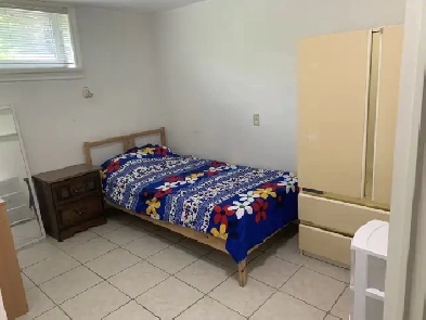 BASEMENT ROOM AVAILABLE FOR FEMALE AT KIPLING/DIXON Image# 3