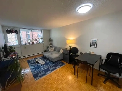 2 Bedrooms 1 Bathroom Apartment next to Parc la Fontaine! Image# 1