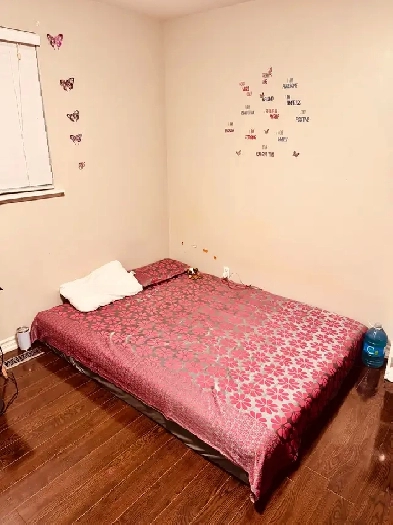 Sharing Master Bedroom For One Girl only from nov 15th Image# 1