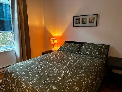 A beautiful 2 bedroom apartment for rent, fully furnished