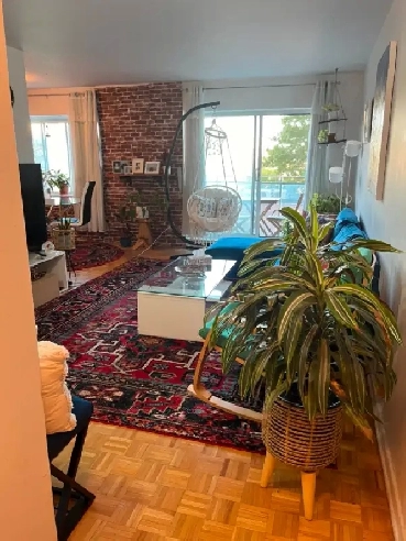 Sublet : One Bedroom Apartment (3 1/2) in the Plateau Image# 1