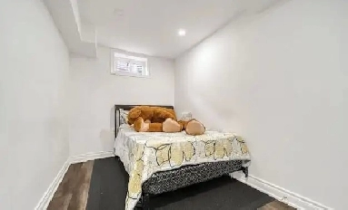 Basement for couple or family in Brampton Williams parkway Image# 1