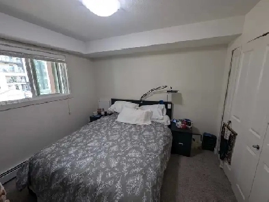 1 Bed 1 Bath Apartment Takeover Image# 1