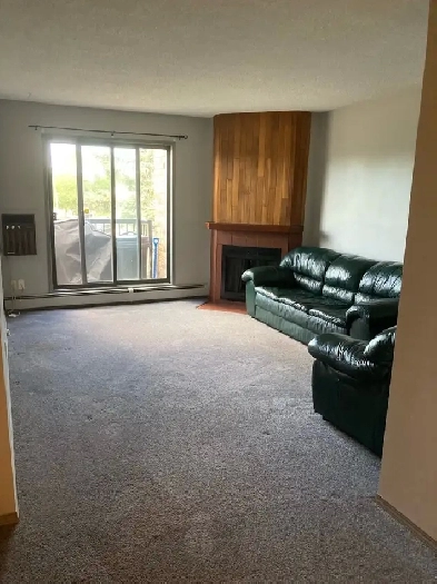 One Bedroom in Lakeview Image# 1