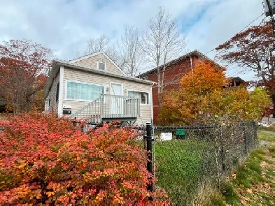 Halifax | 2 bed   DEN & 1 bath house | Pet friendly w/ YARD Image# 1