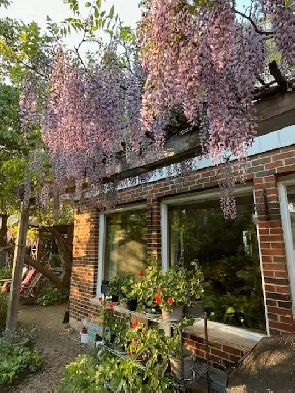 Cozy Georgetown Home in Halton Hills Image# 1