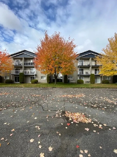 6 logements X2 à vendre Image# 1